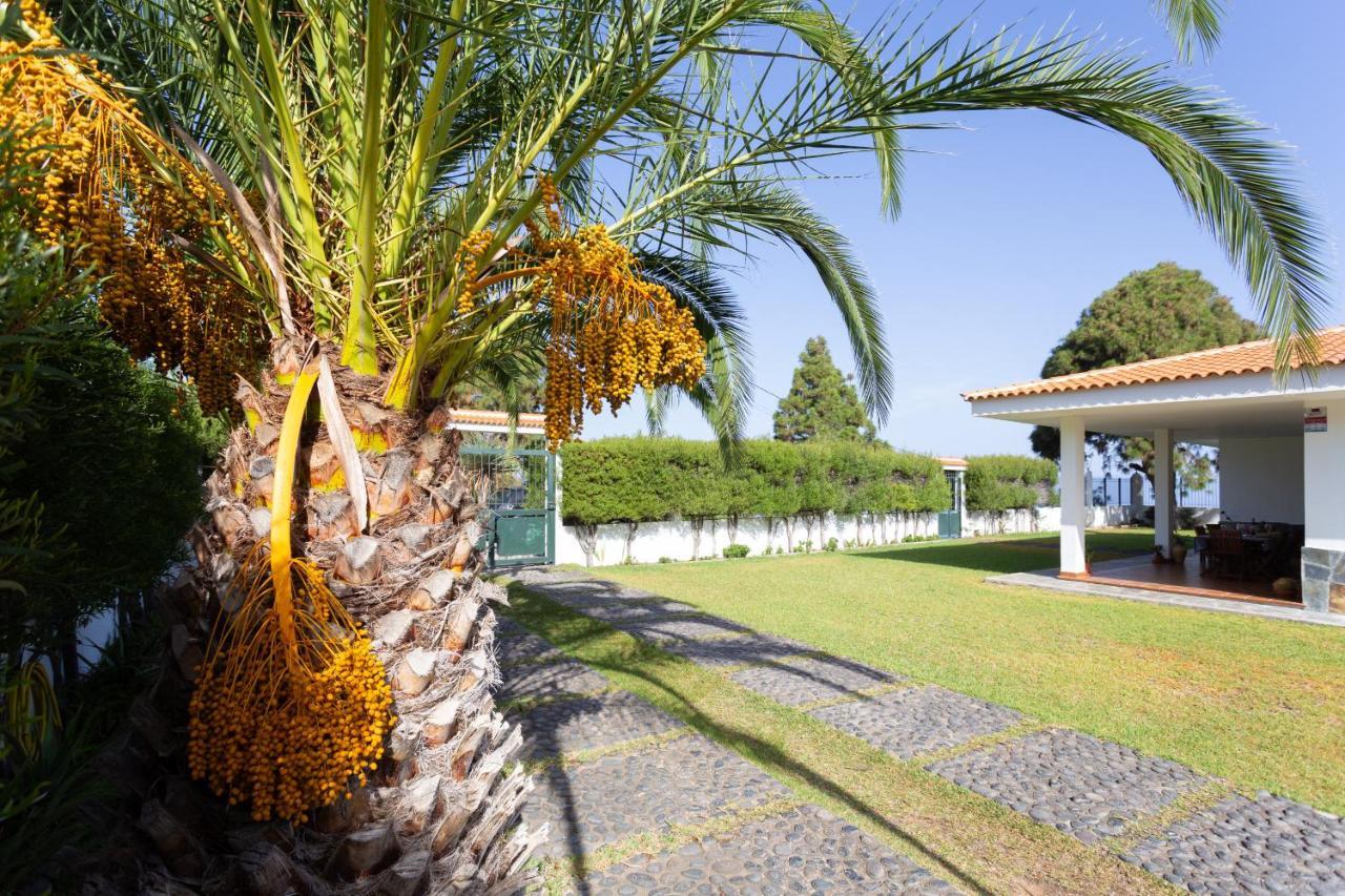 Finca La Vizcondesa Icod De Los Vinos Eksteriør billede