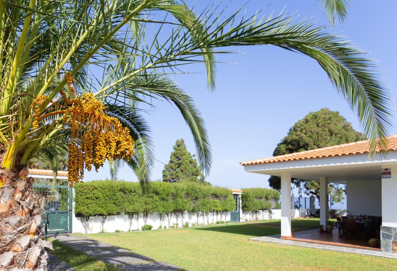 Finca La Vizcondesa Icod De Los Vinos Eksteriør billede